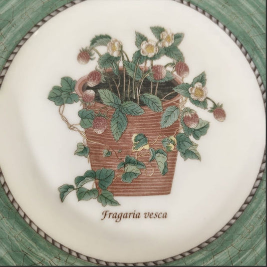 Wall Hanging Plate