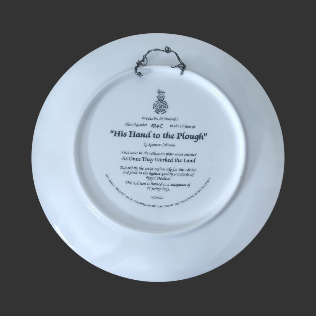 Wall Hanging Plate