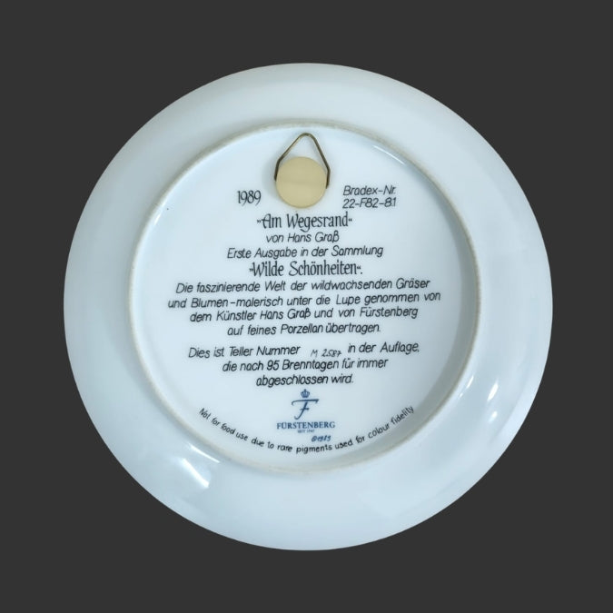 Wall Hanging Plate