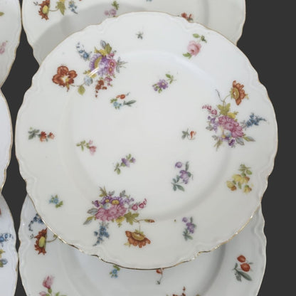 Set of 06 Serving Plate