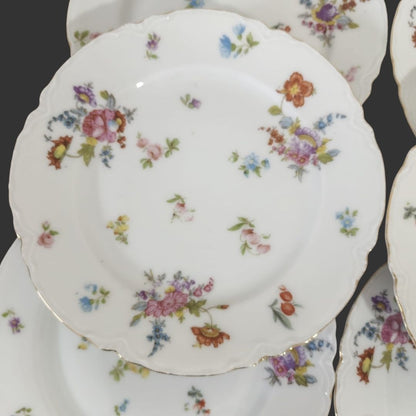 Set of 06 Serving Plate