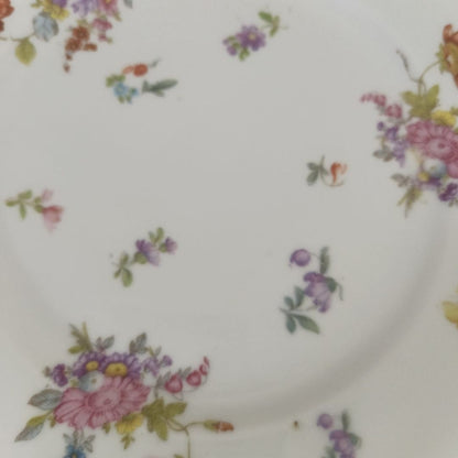 Set of 06 Serving Plate