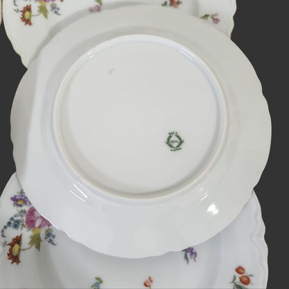 Set of 06 Serving Plate