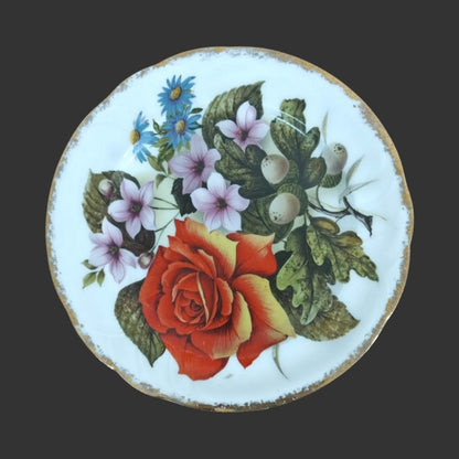 Wall Hanging Plate