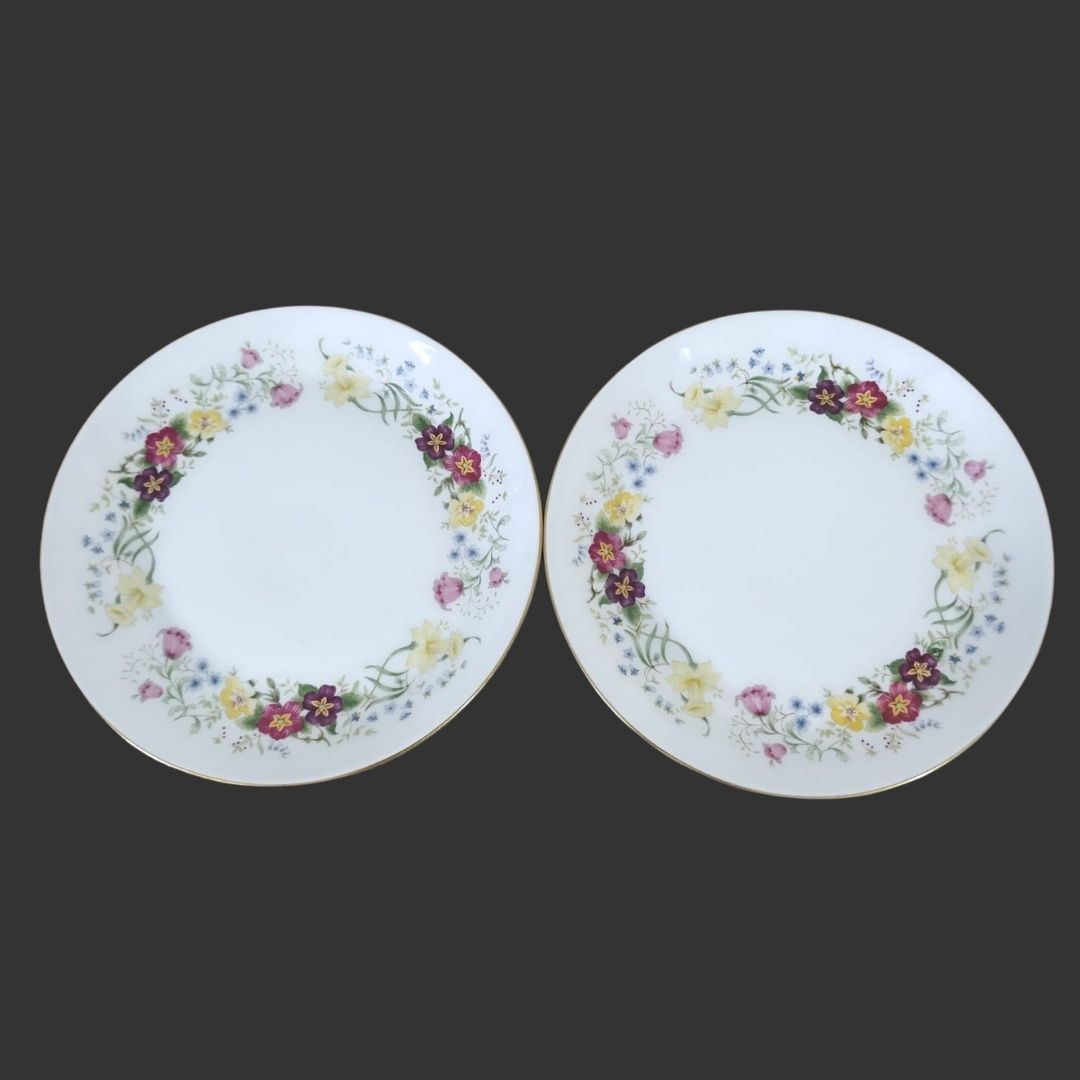 Pair of Dinner Plates