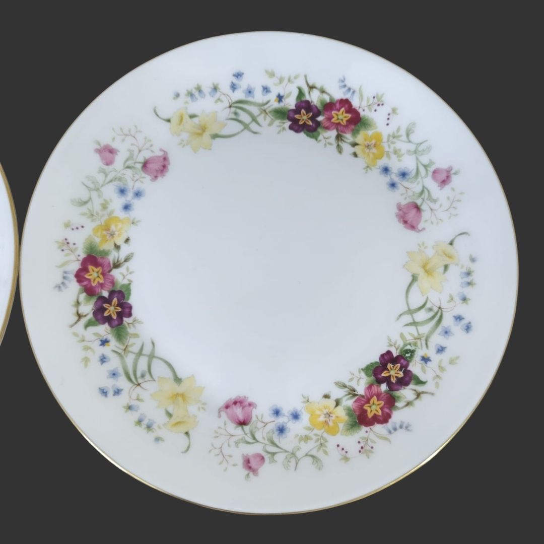 Pair of Dinner Plates