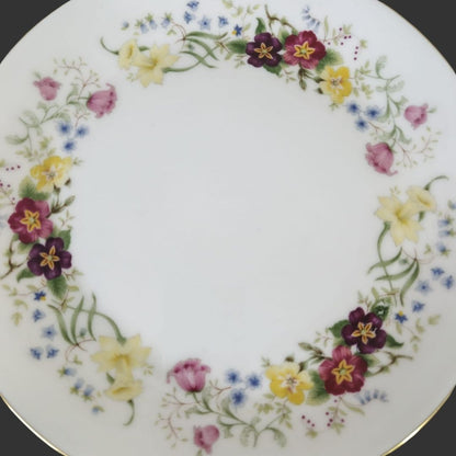 Pair of Dinner Plates