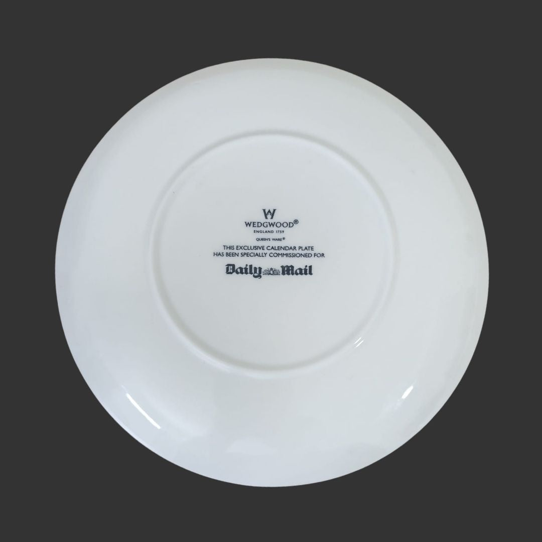 Wall Hanging Plate