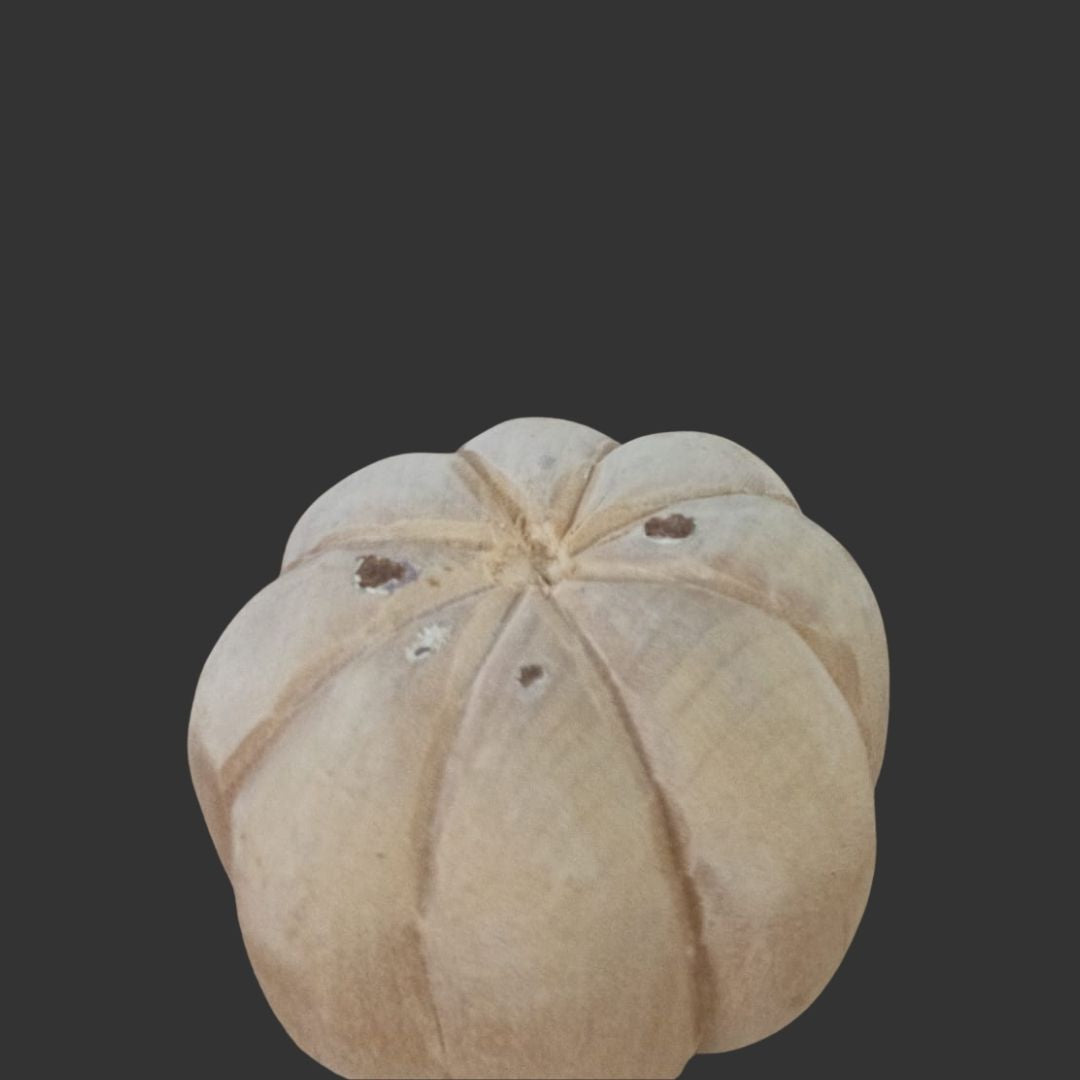 Decorative Fruits