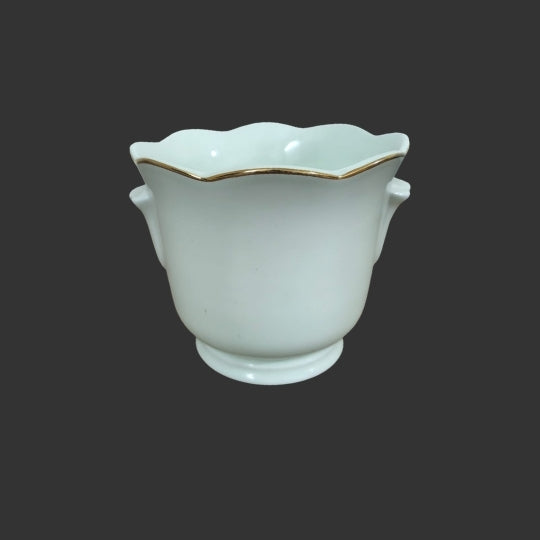 Pot