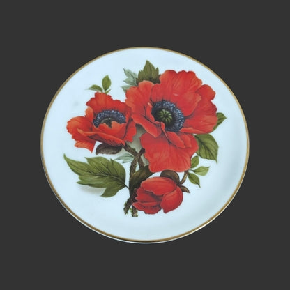 Wall Hanging Plate