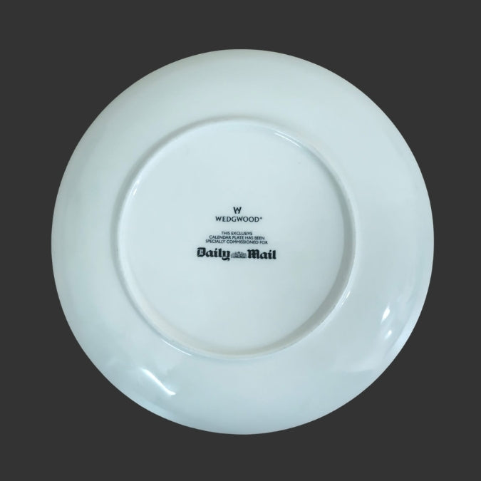 Wall Hanging Plate