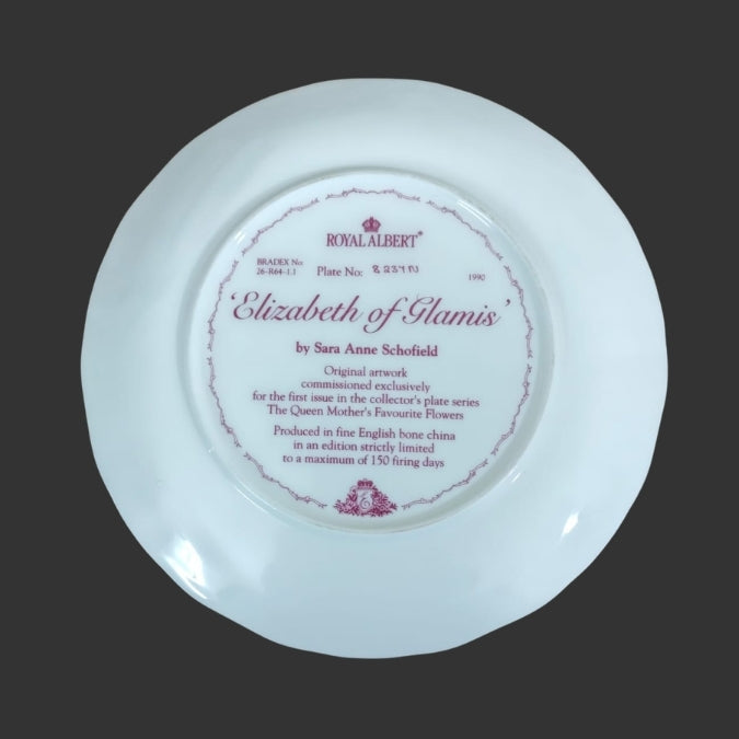 Wall Hanging Plate