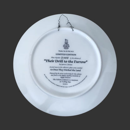Wall Hanging Plate