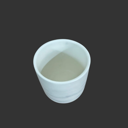 Trio Succulent House