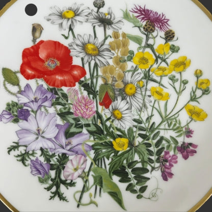 Wall Hanging Plate
