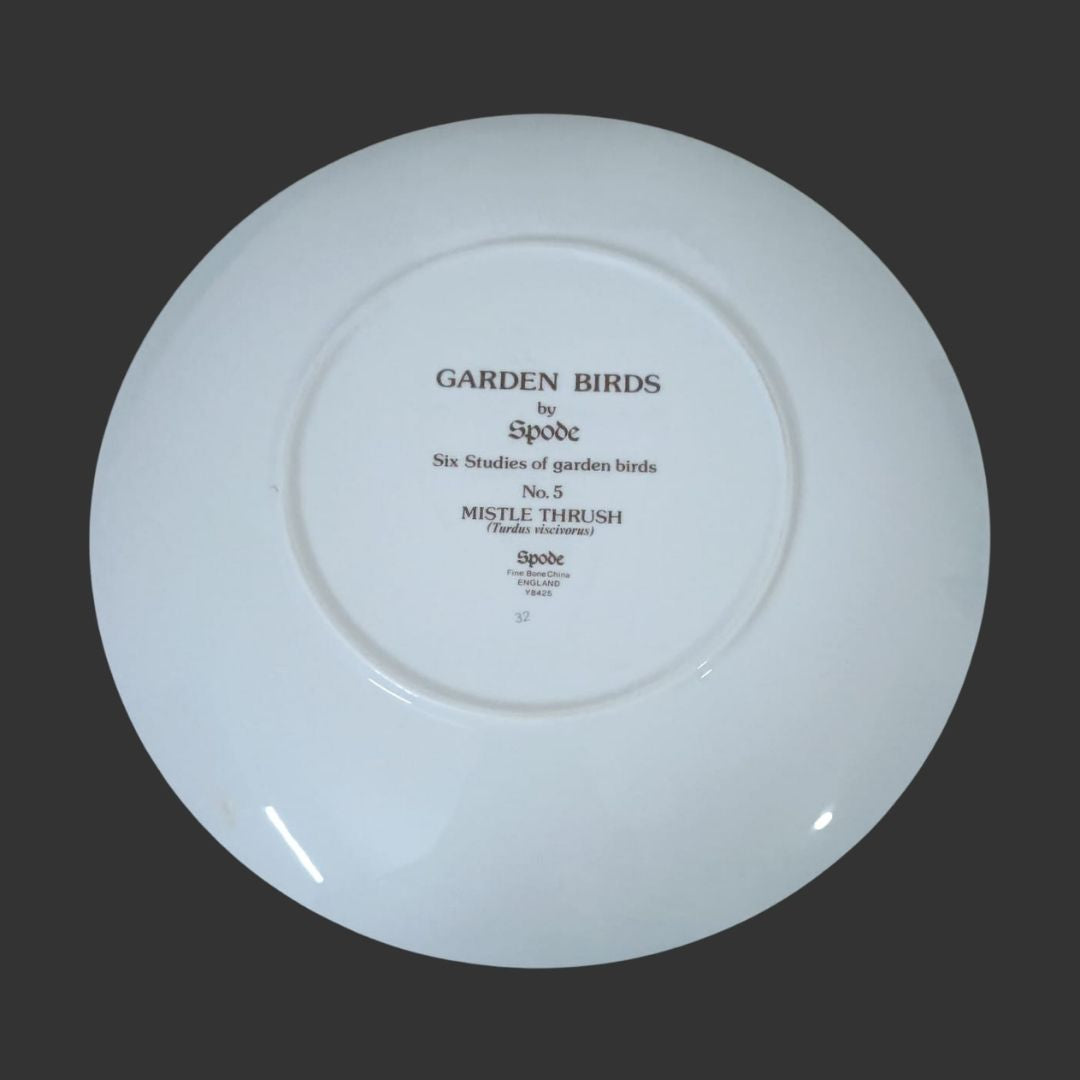 Wall Hanging Plate