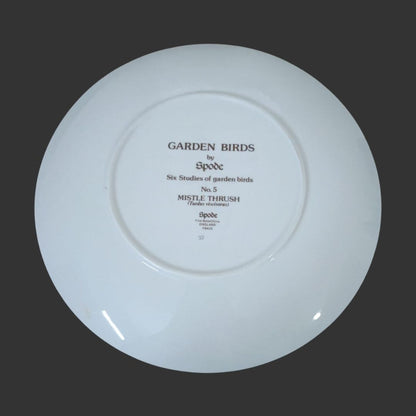 Wall Hanging Plate